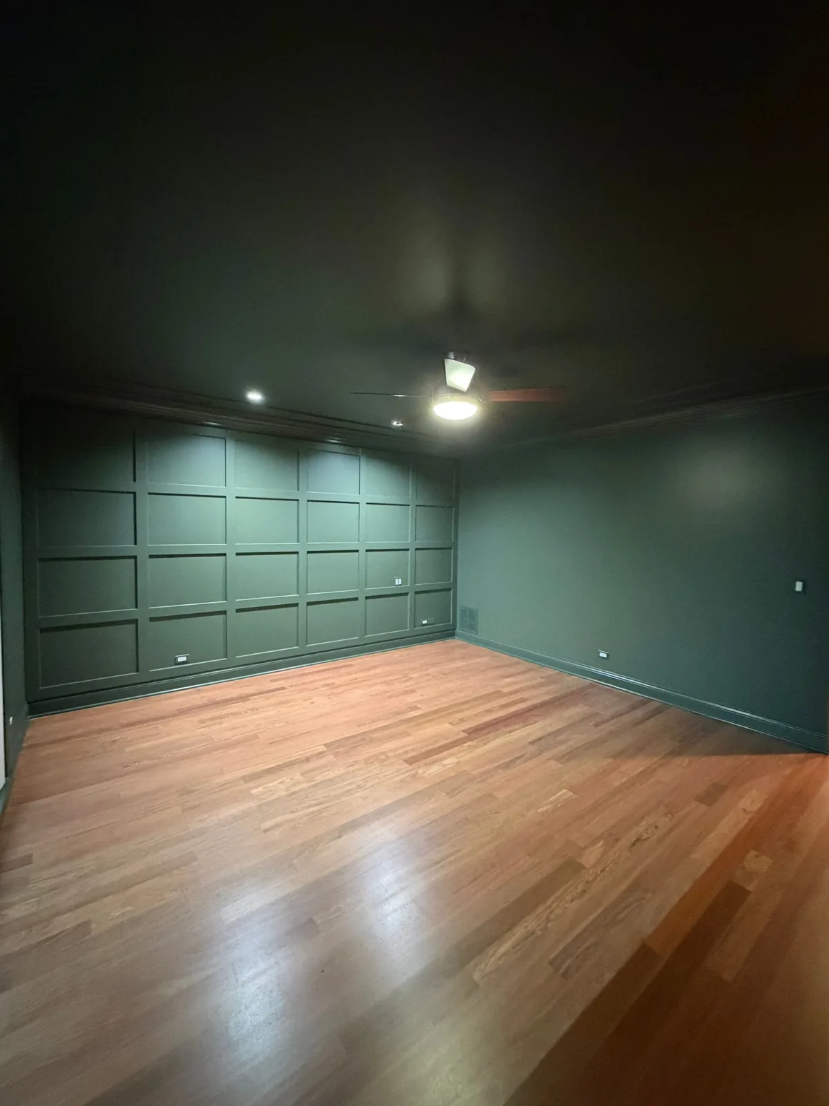 Color-drenched green bedroom in Lakeview