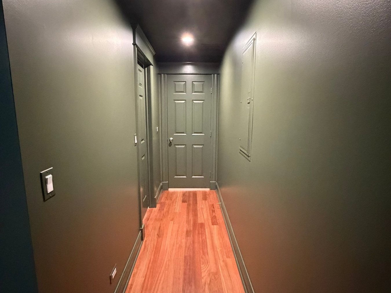 Hallway with doors and trim in matching green