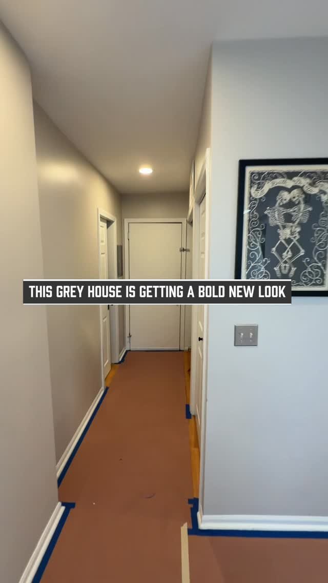 RenewBuild Painting Chicago
